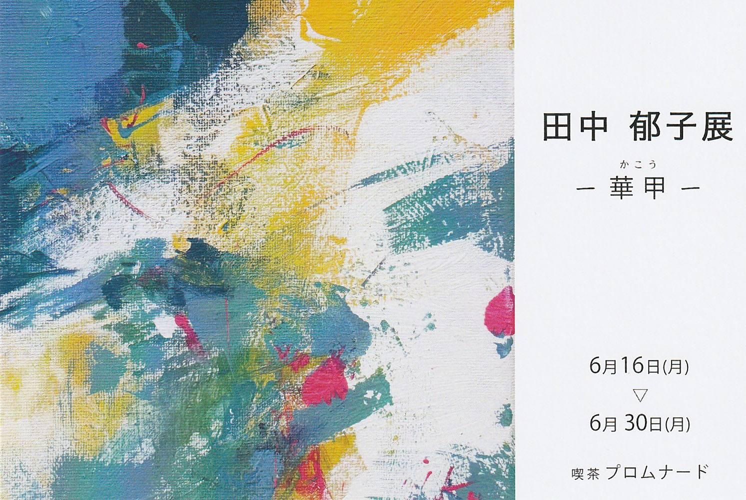 田中郁子展　DM